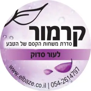 עור סדוק ויבש