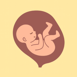 E-היפוך עובר